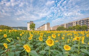 宁夏银川：高铁成中秋假期铁路出行首选