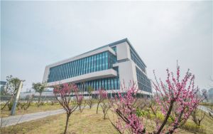 自然资源部：加快建立健全国土空间用途管制和规划许可制度